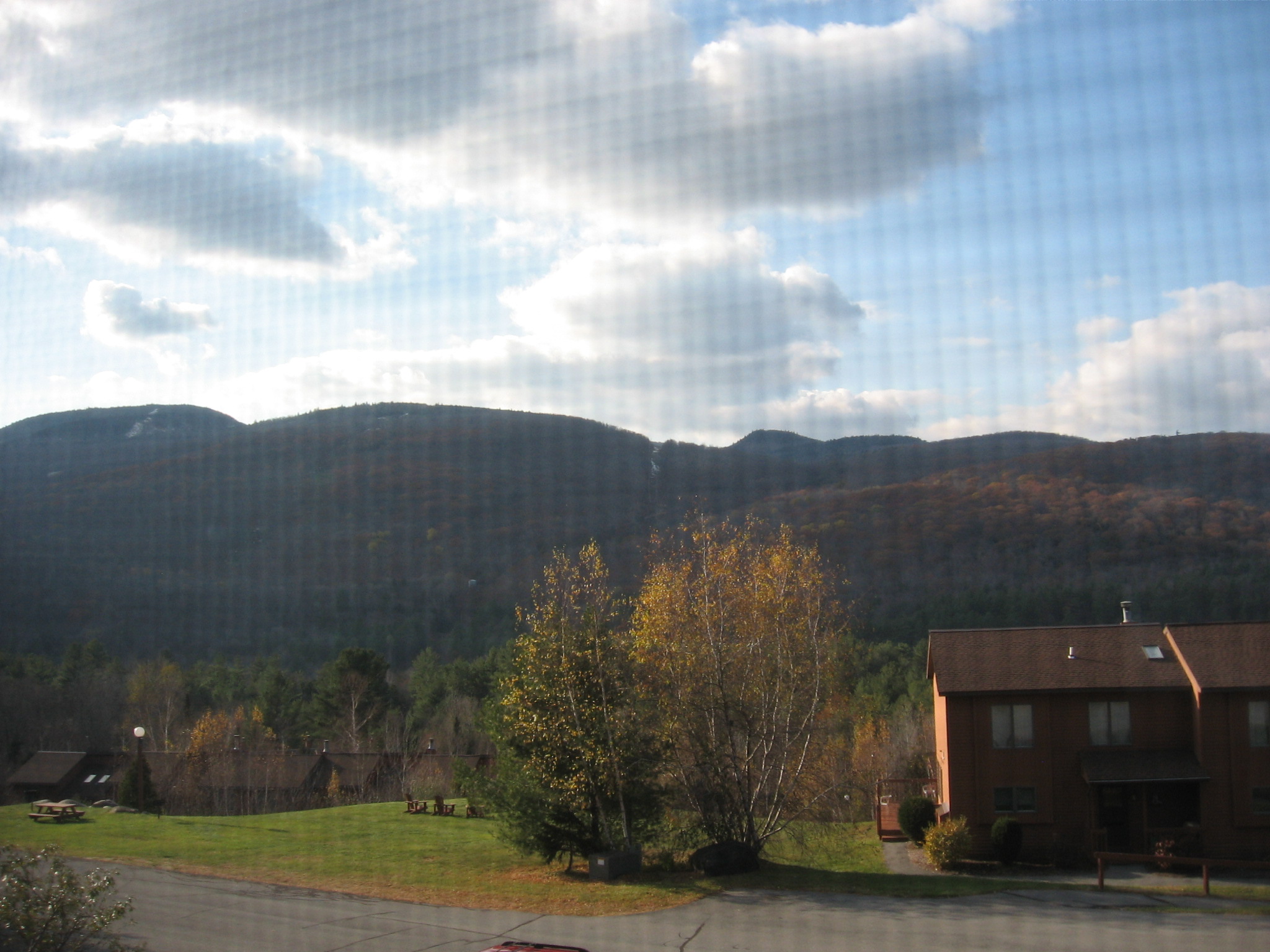 20-N view from upstairs. jpg.JPG