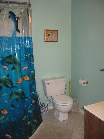 9J- Downstairs bathroom. jpg.JPG