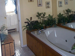 Apres Skiing relaxation in our Jacuzzis!